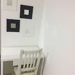 Flowers 3* Međugorje