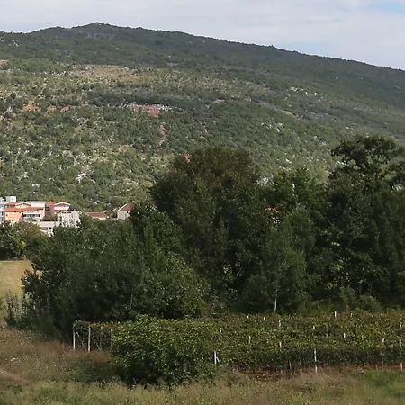 Flowers krevet i doručak Medjugorje