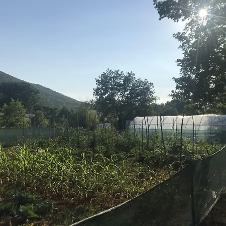 Flowers Bed & Breakfast Međugorje