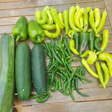 Flowers Bed & Breakfast 3*