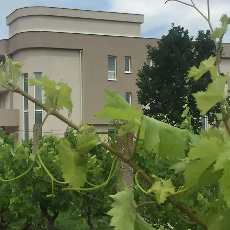 Bed and Breakfast Flowers Međugorje