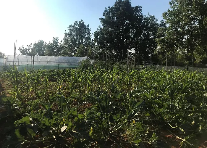 Flowers Bed & Breakfast Medjugorje