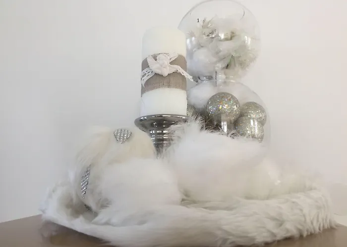 Flowers 3* Medjugorje