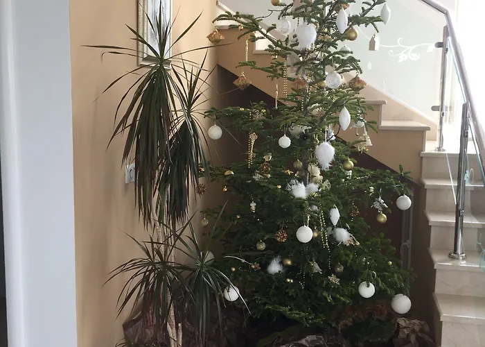 Flowers Bed & Breakfast 3*