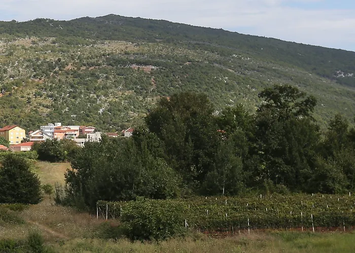 Flowers Bed & Breakfast Medjugorje