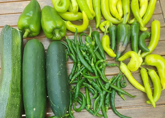 Flowers Bed & Breakfast 3*