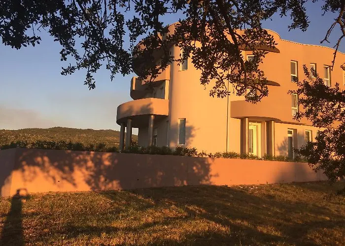 Flowers 3* Medjugorje