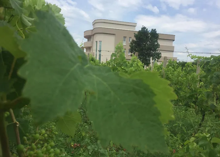 Bed & Breakfast Flowers