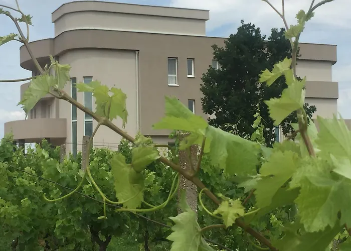 Bed & Breakfast Flowers Medjugorje