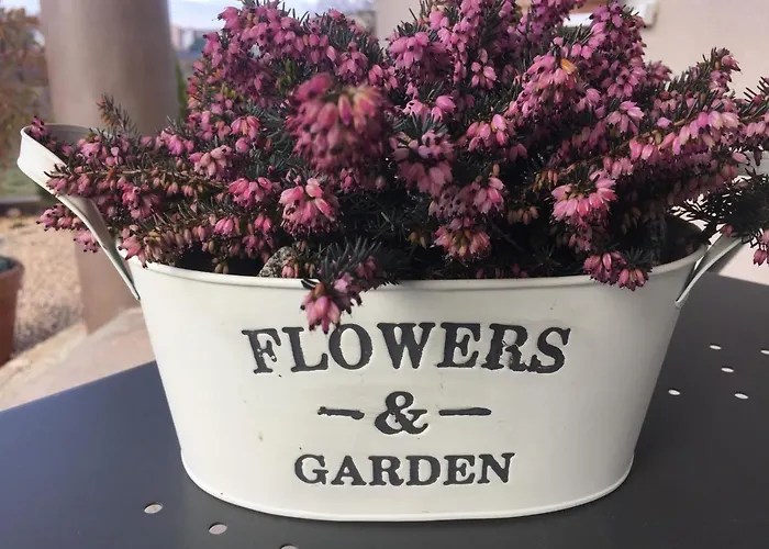 Flowers 3* Medjugorje